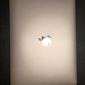 Older style MacBook. Used. Works when plugged in.